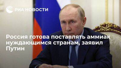 Путин: Россия готова поставлять аммиак в объеме двух миллионов тонн нуждающимся странам