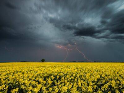 В субботу несколько областей Украины накроет грозами и шквальным ветром