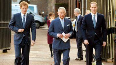 Король Чарльз в своей исторической речи упомянул о принце Гарри и Меган Маркл