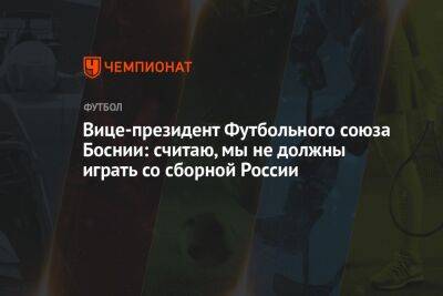 Вице-президент Футбольного союза Боснии: считаю, мы не должны играть со сборной России