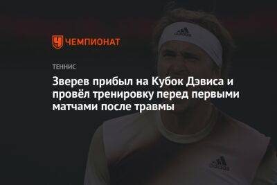 Зверев прибыл на Кубок Дэвиса и провёл тренировку перед первыми матчами после травмы