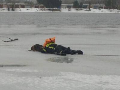 В Кимрах пожарные спасли провалившуюся под лед собаку