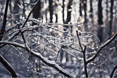Точну дату похолодання в Україні назвали синоптики