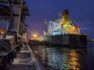 Россия продолжает тормозить работу "зернового коридора". В Босфоре ждут проверок 98 судов – Мининфраструктуры