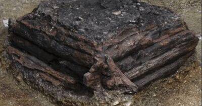 В Германии обнаружен 3000-летний деревянный колодец для загадывания желаний