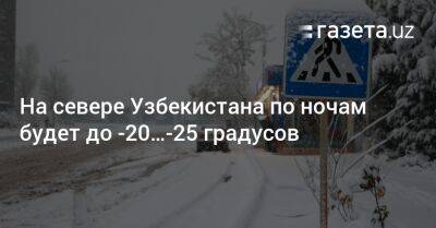 На севере Узбекистана по ночам будет до −20…−25 градусов