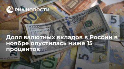 ЦБ: доля валютных вкладов в России в ноябре составила 14,9 процента