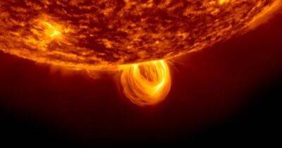 Более 100 дней жизни Солнца за 1 час. В NASA создали потрясающий ролик (видео)