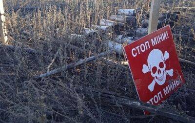 Самое большое минное поле мира: треть территории Украины - опасна