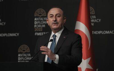 Очільник МЗС Туреччини заявив про підтримку формули миру від України