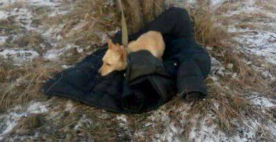 Украинец ценой собственной жизни спас свою собаку: в полиции сообщили подробности, кадры с места