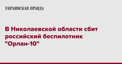 В Николаевской области сбит российский беспилотник "Орлан-10"