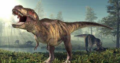 Древний гений. Ученые утверждают, что тираннозавры были гораздо умнее, чем принято думать