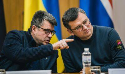 Урмас Рейнсалу - Эстония до конца января разработает план передачи Украине замороженных в стране российских активов - obzor.lt - Россия - Украина - Эстония - Ес