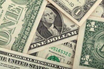 В Раде спрогнозировали курс доллара на 2023 год