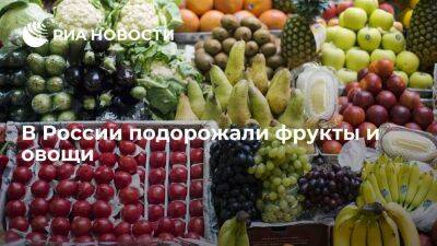 Росстат: фрукты и овощи в России с 1 по 9 января подорожали в среднем на 6,5 процента