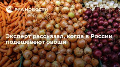 Караваев: овощи в России с февраля-марта начинают дешеветь после сезонного подорожания
