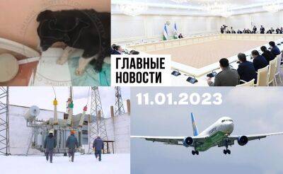 Наказать насильников, бессердечные люди и остановите кризис. Новости Узбекистана: главное на 11 января