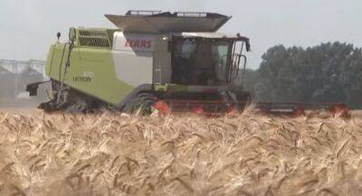 Ждет голодный год: в Украине предупредили о серьезном падении урожая