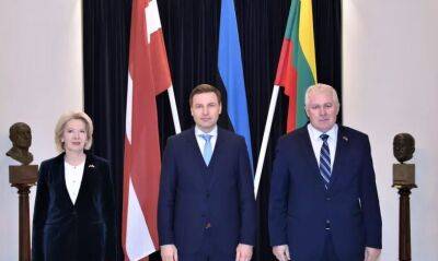 Поддержка Украины остается приоритетом для стран Балтии – Анушаускас