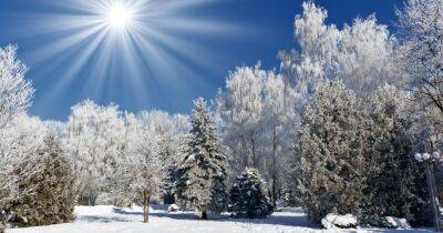Весна посреди зимы: синоптики прогнозируют аномальное потепление в Украине (фото)