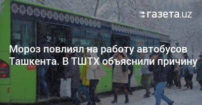 Мороз повлиял на работу автобусов Ташкента. В ТШТХ объяснили причину