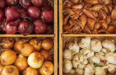 В Тверской области дорожают все овощи, кроме картофеля
