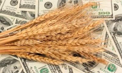 Рада ухвалила закон для повернення в Україну валютної виручки від експорту зерна