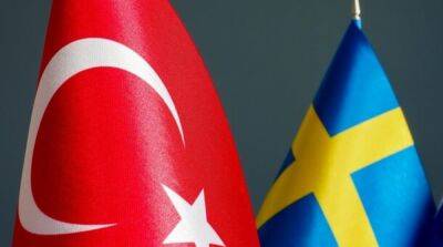 В МИД Турции вызвали посла Швеции из-за курдского протеста в Стокгольме