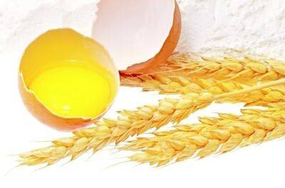 Цены за зерно и яйцо в ЕС выросли в 2022 году более чем на 40 %