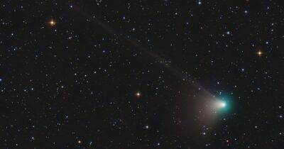 Раз в 50 тысяч лет. Редкая комета подлетела очень близко к Солнцу и скоро будет рядом с Землей