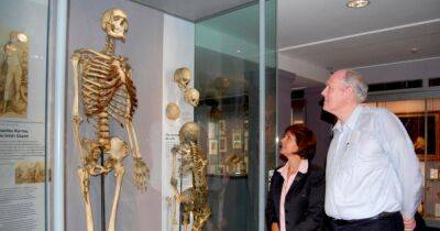 "Спустя 200 лет": скелет знаменитого "ирландского великана" уберут с витрины музея (фото)