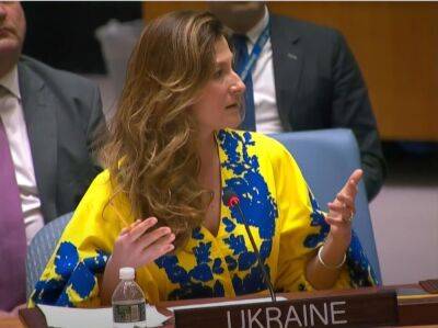 Украина на Совбезе ООН призвала "все ответственные государства" поддержать ее формулу мира