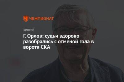 Г. Орлов: судьи здорово разобрались с отменой гола в ворота СКА