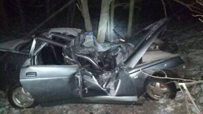 В Воронежской области ВАЗ врезался в дерево, погиб 18-летний пассажир, 17-летний водитель пострадал