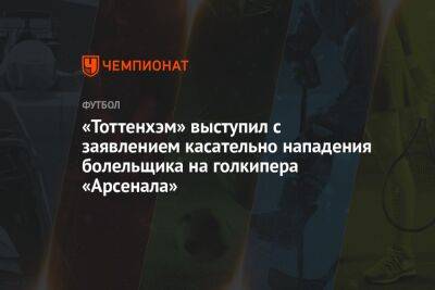 «Тоттенхэм» выступил с заявлением касательно нападения болельщика на голкипера «Арсенала»