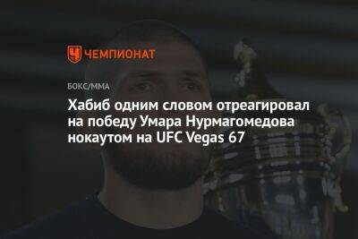 Хабиб одним словом отреагировал на победу Умара Нурмагомедова нокаутом на UFC Vegas 67