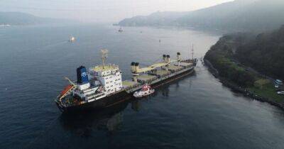 Украинское судно село на мель и заблокировало пролив Босфор (ФОТО) - dsnews.ua - Китай - Украина - Турция - Стамбул