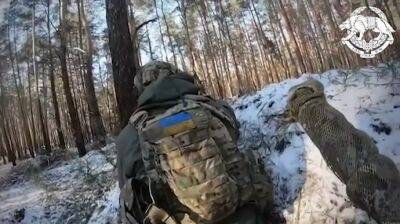 Українські військові запобігли спробі наступу окупантів біля Кремінної: фрагмент бою