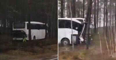 ВИДЕО. В Лапмежциемсе автобус врезался в деревья; двое пострадавших