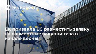 Шефчович: ЕК хочет, чтобы ЕС разместил заявку на совместные закупки газа в начале весны