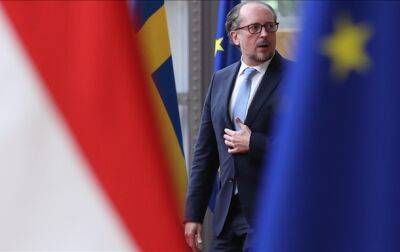 Глава МИД Австрии призвал Европу "не перегнуть палку" с Россией