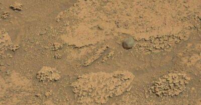Марсоход NASA обнаружил странный камень на Марсе: он озадачил ученых (фото)