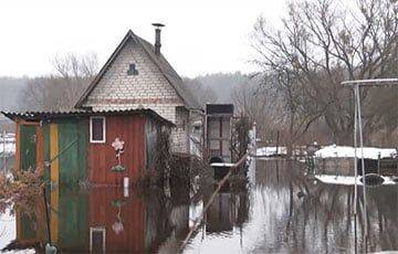 Талые воды подтопили десятки домов в Гомельской области