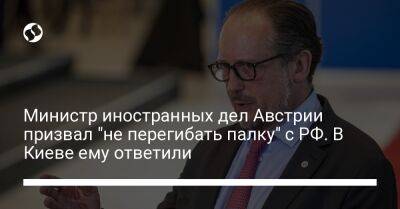 Министр иностранных дел Австрии призвал "не перегибать палку" с РФ. В Киеве ему ответили