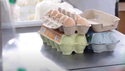 "Может, это аренда?": украинцев ошеломил ценник на яйца, выше уже некуда