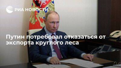 Путин: нужно отказаться от экспорта круглого леса и поставлять все на внутренний рынок