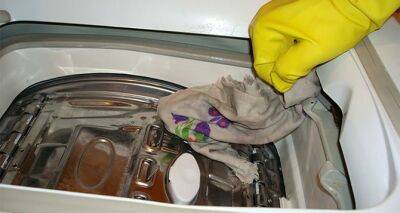 Как почистить стиральную машину внутри и снаружи, советы от опытных домохозяек
