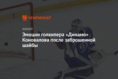 Эмоции голкипера «Динамо» Коновалова после заброшенной шайбы