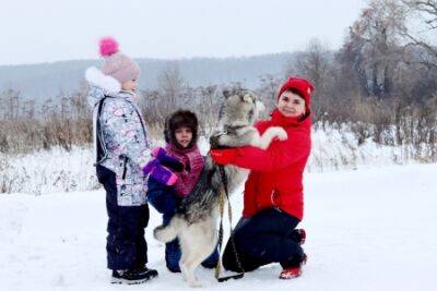 Катание на собачьи упряжках в новогодние праздники устроили жители деревни Полетаево Кунгурского округа